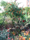 IMG-20190915-WA0002