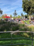 IMG-20190915-WA0017